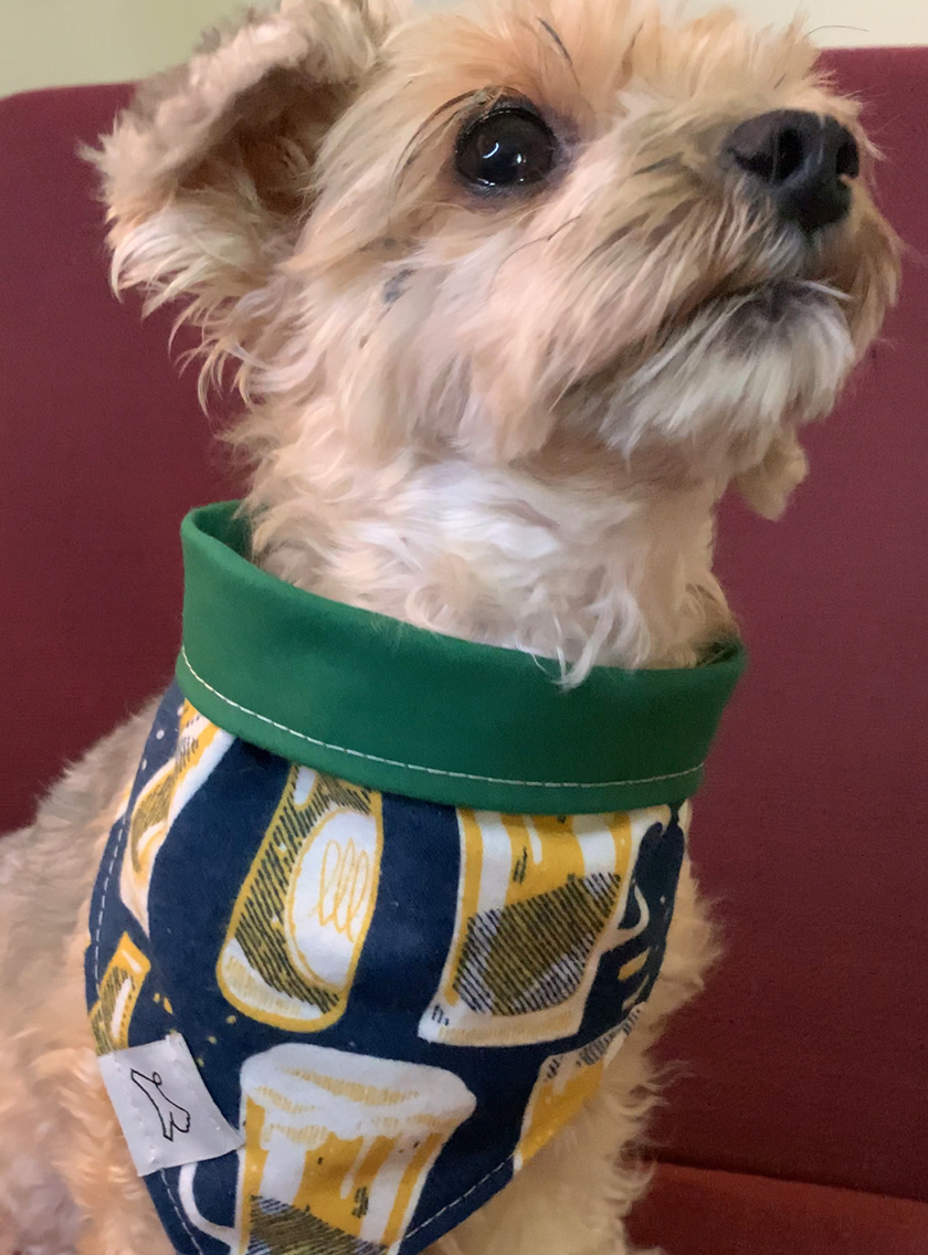 Drinking Buddy Bandana For Pups!
